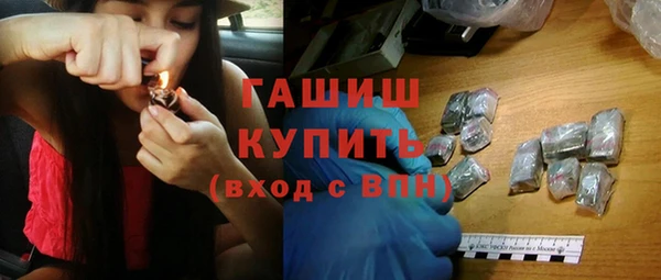 индика Дмитриев