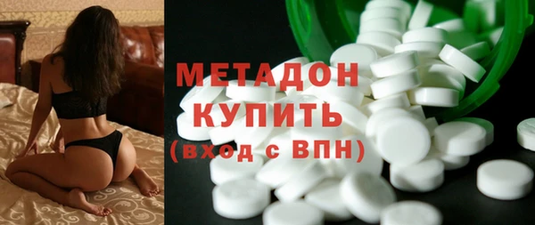 индика Дмитриев