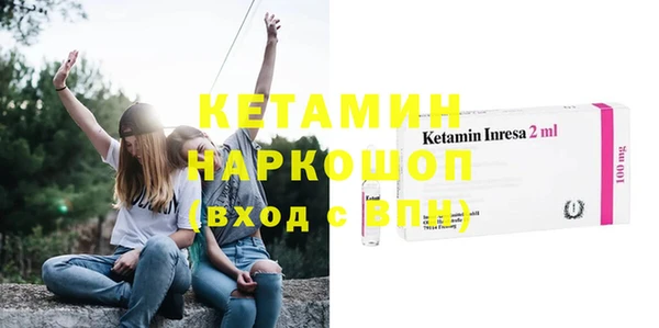 индика Дмитриев