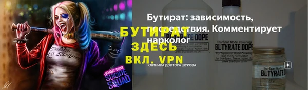 индика Дмитриев