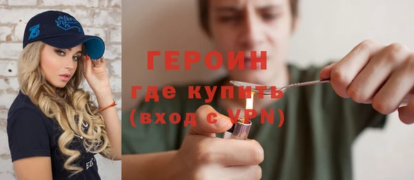 индика Дмитриев