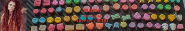 индика Дмитриев