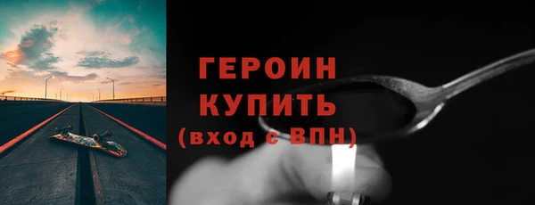 индика Дмитриев