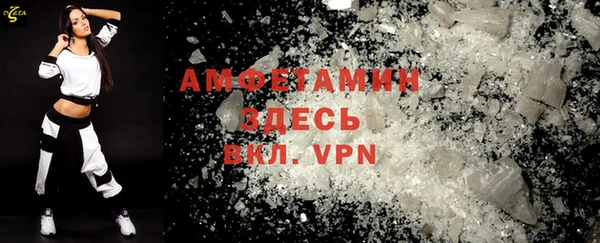 индика Дмитриев