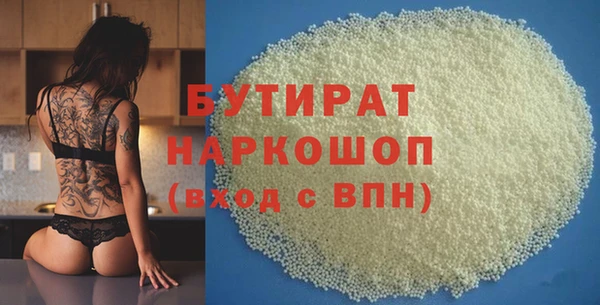 индика Дмитриев