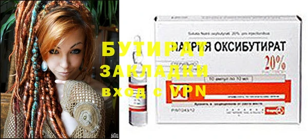 индика Дмитриев
