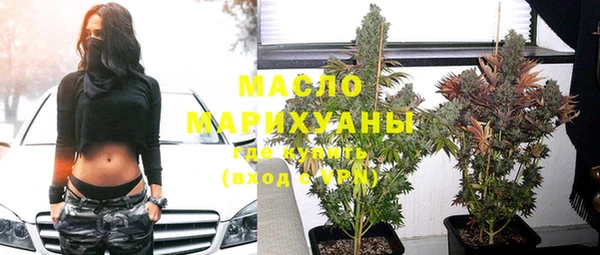 индика Дмитриев