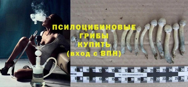 индика Дмитриев