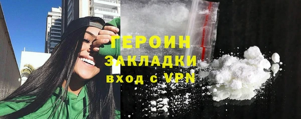 индика Дмитриев