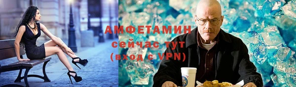 индика Дмитриев