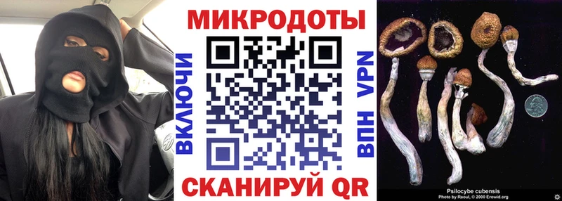 Купить закладки  Кола  Галлюциногенные грибы прущие грибы 